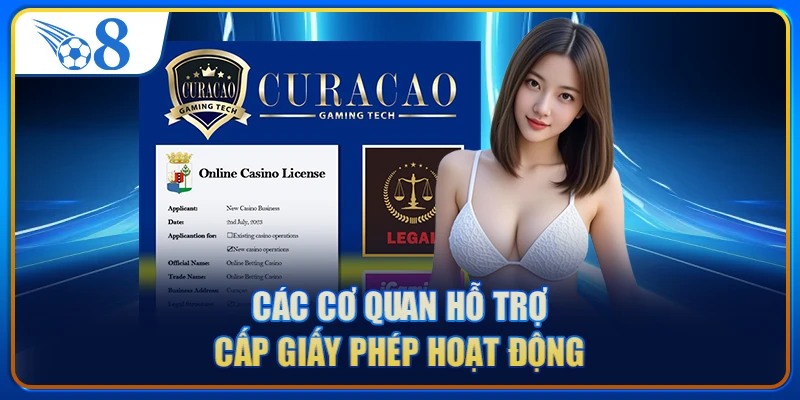 Các cơ quan hỗ trợ cấp giấy phép hoạt động