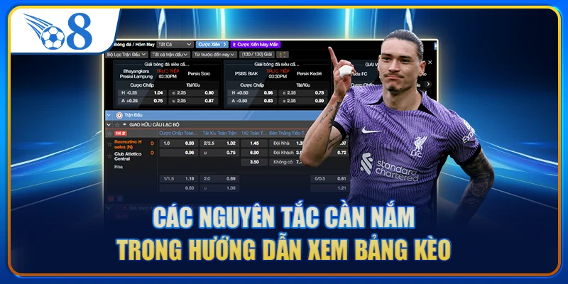 Các nguyên tắc cần nắm trong hướng dẫn xem bảng kèo