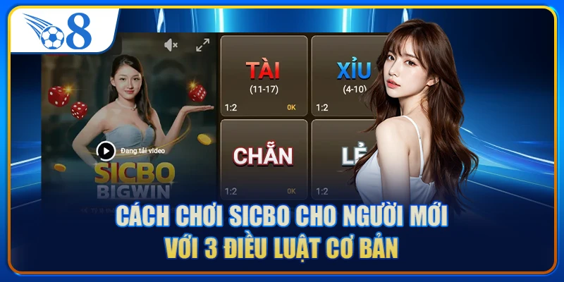 Cách Chơi Sicbo Cho Người Mới Với 3 Điều Luật Cơ Bản