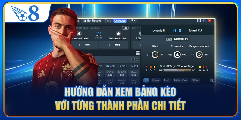 Hướng dẫn xem bảng kèo với từng thành phần chi tiết